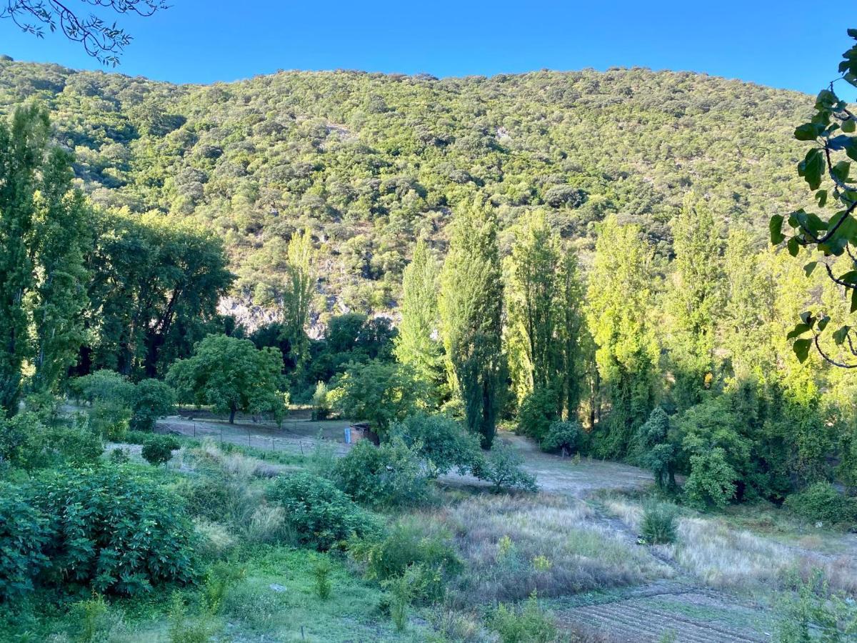 Stay Wild En Las Casitas De Huerta Arriba Benamahoma Εξωτερικό φωτογραφία